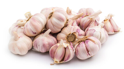 Harvested garlic on a plain background