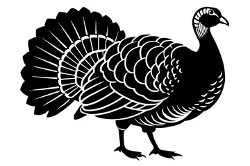 Obraz premium turkey-white-background--silhouette-vector