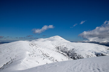 Obraz premium winter in the highlands, mountain peaks covered with snow against a dark blue sky