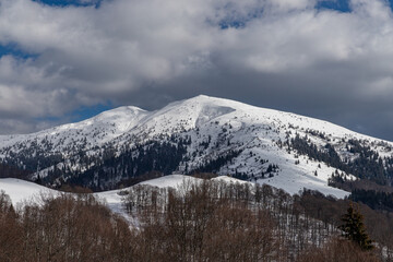 winter mountain landscape, bare trees, snowy mountain peaks and gray clouds