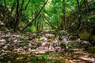 Fototapeta premium Beautiful shot of Aq Su Waterfall in Golestan National Park, Iran
