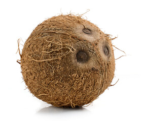 fresh ripe whole coconut fruit - 781956955