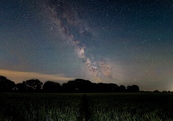 Scenic shot of a green field under the starry sky at night, cool for background