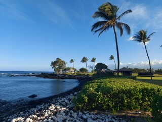 hawaii, haway, havai, green, tree, palm tree, travel, tourism, destination, island, sky, clouds, outdoor, nature, turism, beach, coastlina, shore, relax, big island, waves, ocean, water, sun, day