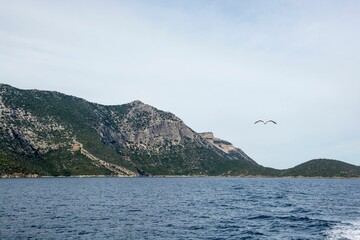 Fototapeta na wymiar Lake surrounded by a rocky mountainous landscape and a seagull flying against a cloudy sky