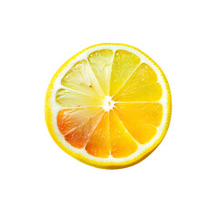 Isolated Colorful Lemon Slice