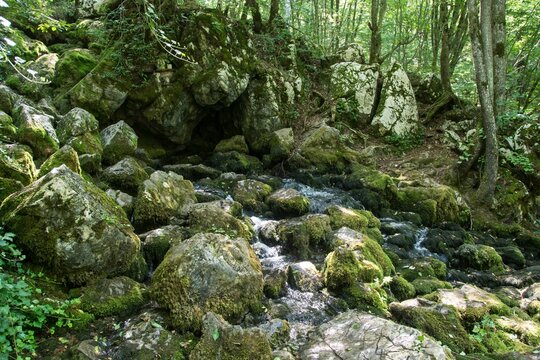 Well  source of the Grza river in Serbia