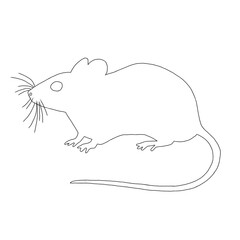 Mouse Outline | Mouse Illustration | Hand Drawn Mouse