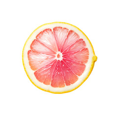 Isolated Colorful Lemon Slice