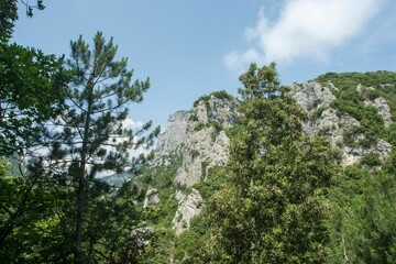 A beautiful view on Mount Olympus National Park in Greece