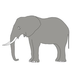 Elephant Outline | Elephant Drawing | Elephant Illustration