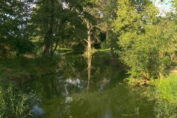 Autumn landscape with river and trees with green leaves reflecting there