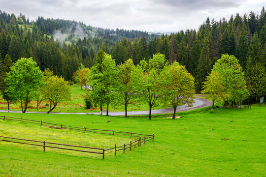 countryside scenery with forested mountains on an overcast day. coniferous woods of transcarpathia, ukraine. wooden fence on the grassy hill. rainy weather in spring
