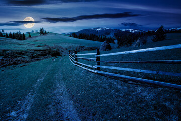 carpathian countryside scenery in spring at night. mountainous rural landscape with path through the meadow and haystack behind the wooden fence in full moon light. fir forest on the grassy hill  - obrazy, fototapety, plakaty