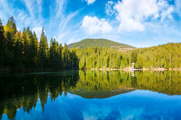alpine lake synevyr in carpathian mountains in morning light. summer landscape with coniferous forest reflecting in the calm water. scenery under the blue sky. popular travel destination of ukraine - 781969383