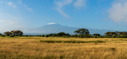 Kilimanjaro kissed by sunrays in kenya amboseli area