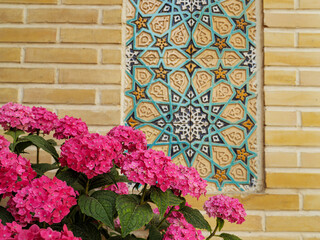Flowering large-leaved hydrangea on the background of traditional oriental mosaics on the wall....