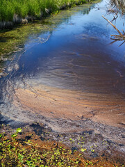Heavily polluted water, surface biofilm, bacterial tuft. Blue-green algae (Cyanobacteriae) surface of reservoir looked like at beginning of life 3.5 billion years ago. Cambrian life's origin