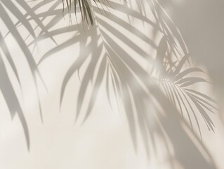 Fototapeta premium Soft shadows on a white wall, shadows from leaves. Abstract neutral nature concept