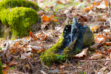 Old mossy boot in a forest at daytime