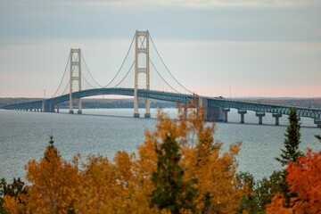Image of a bridge on the sea from the colorful trees under the blue sky during the fall.