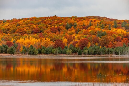 Image of the reflection of colorful trees of the hill on the lake's water during the fall season.