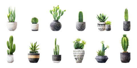 Fototapeta na wymiar Set of watercolor cactus plants on white background.