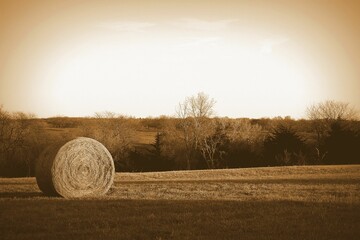 Big round-shaped Hay bale in a harvesting field, cool for background