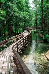 Fototapeta premium Vertical shot of a wooden bridge in Plivsko jezero surrounded by trees