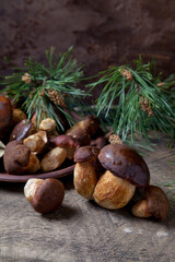 Imleria Badia or Boletus badius mushrooms commonly known as the bay bolete and clay plate with mushrooms on vintage wooden background..