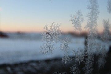 Closeup shot of Ice crystals on the window during the golden hour