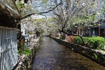 A scene of Japanese rivers : Takase-gawa Stream in Kyoto 日本の川景色：京都の高瀬川