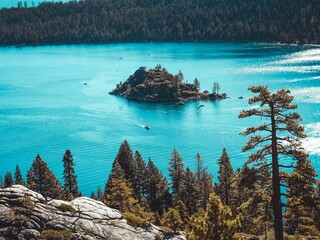 Beautiful view of a lake from a rock with large trees