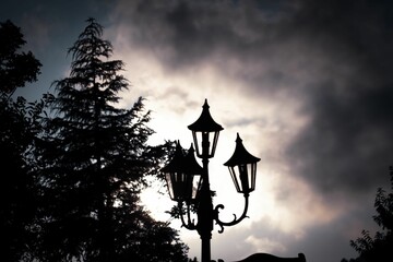Silhouette of the street lights and spruce tree against a clouded sky - obrazy, fototapety, plakaty