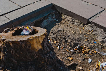felled tree with garbage around it, falled tree with cigarette pack on top