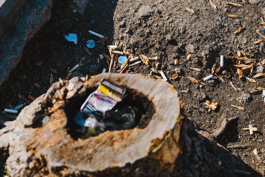 felled tree with garbage around it, falled tree with cigarette pack on top