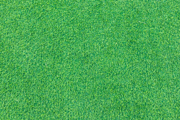 The top view of the grass garden is refreshing to look at. green grass texture background Ideas used for creating green backdrops