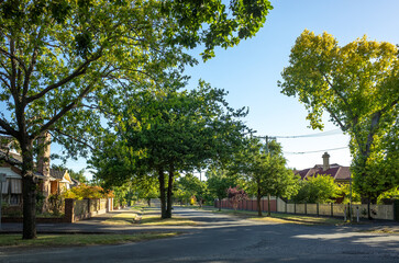 a quiet suburban road with large and mature trees, and charming Australian suburban or country houses in the late afternoon. A cozy and Quiet Corner of a street in a residential neighborhood.
