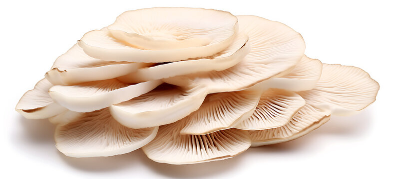 mushroom slices, realistic stock photography, white background, cut mushrooms,  generative AI 