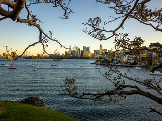 View of Sydney's skyline from Cremorne Point, framed by tree branches, with harbour dotted with boats, reflecting the dynamic blend of nature and urban life in the iconic Australian city