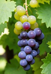 AI generated photo of a cluster of grapes nestled in green leaves

