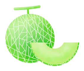 大きなメロンと切った青肉メロンのイラスト