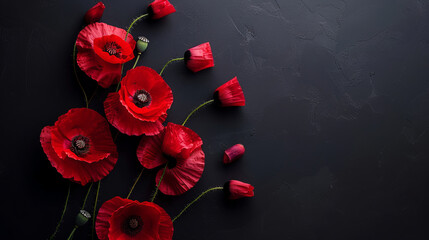 Red poppies on black background. Remembrance day, armistice day symbol - obrazy, fototapety, plakaty