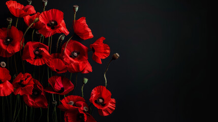 Red poppies on black background. Remembrance day, armistice day symbol