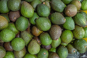 Stand with green and brown avocados in the food store. Top view. Avocado, alligator pear or avocado...