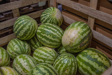 Watermelons in the wooden container on supermarket shelf. watermelon on street market. Summer Fruits for healthy diet. Fresh organic water melon fruit for sale in grocery store. Selective focus