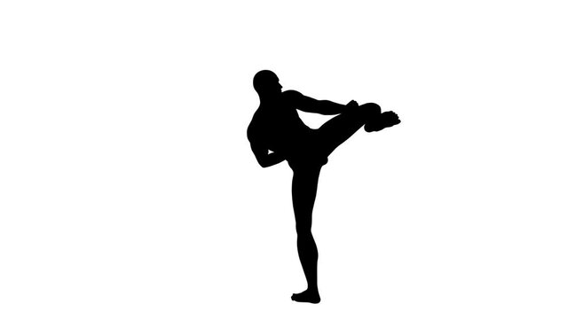 3D Render :  a silhouette male character perform 360 degrees sidekick Martial arts  with white background