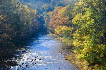 Autumn colors along the river