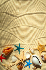 Colored starfish and shells on white wavy fine sand. - 782006761