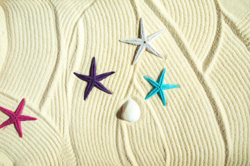 Colored starfish and shells on white fine sand. - 782006768